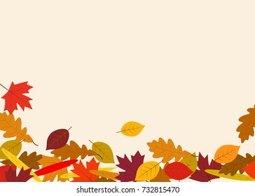 autumn leaves background