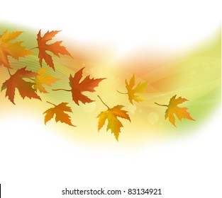 Autumn leaves, background