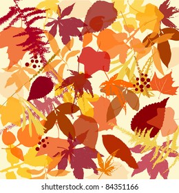 Autumn leaves background