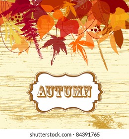 Autumn leaves background