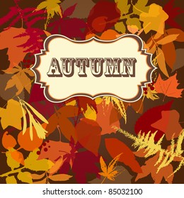 Autumn leaves background