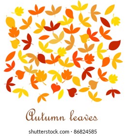 Autumn leaves background