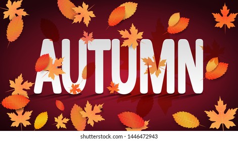 Autumn leaves background. Ad concept. Vector illustration