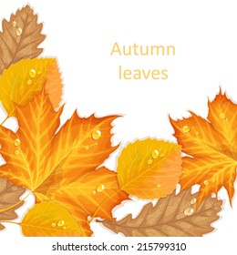 Autumn leaves background. Beautiful invitation card with maple, oak and aspen leaves