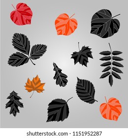 autumn leaves background, black and color leaves against the background of the autumn sky