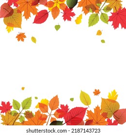 Autumn leaves background bright colorful decor.