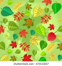 Autumn leaves background, can be use as banner or poster. Vector illustration. Design elements.