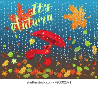 Autumn leaves background, can be use as banner or poster. Vector illustration. Design elements. 