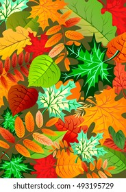 Autumn leaves background, can be use as banner or poster. Vector illustration. Design elements.