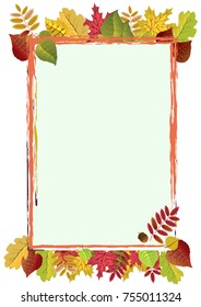 Autumn leaves background, can be use as banner or poster. Vector illustration. Design elements.
