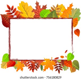 Autumn leaves background, can be use as banner or poster. Vector illustration. Design elements.