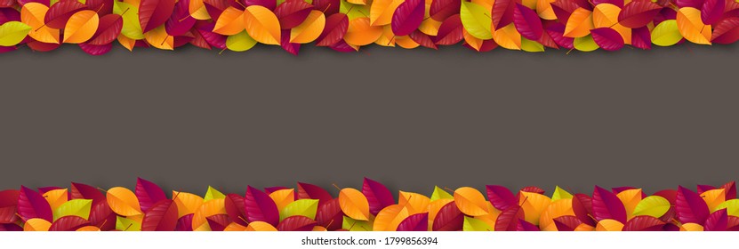 Autumn leaves background with colorful maple,oak leaves.Greetings and presents for Autumn season in flat lay styling.Promotion template for Autumn or fall concept