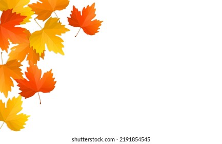 Autumn leaves background with copy space. Vector illustration of colorful maple fallen leaves.