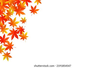 Autumn leaves background with copy space. Vector illustration of colorful Japanese maple fallen leaves.