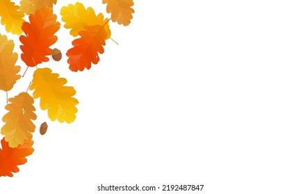 Autumn leaves background with copy space. Vector illustration of colorful oak fallen leaves.