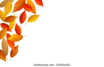 Autumn leaves background with copy space. Vector illustration of colorful fallen leaves.