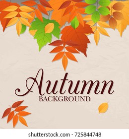 Autumn leaves background design