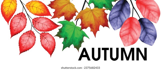 Autumn leaves Background Design. Falling leaves in are various colors on a white background with red, orange, blue, yellow and many more combinations of colors. It's a trendy Fall vector artwork.