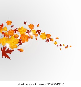 Autumn leaves background design, vector