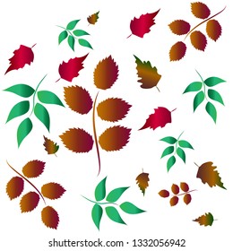 autumn leaves for background, different leaves from the tree