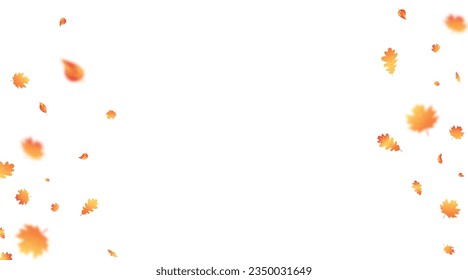 Autumn leaves background. Fall leaf frame. Hello autumn card. Back to school banner. Social media design. Autumn sale. Color maple and oak falling foliage. Vector illustration.