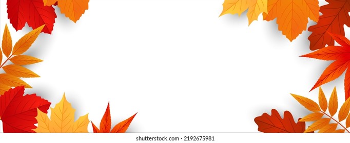 Autumn leaves the background frame with space for text. Banner design for sales, thanksgiving, harvest holidays. Vector illustration