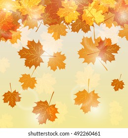 Autumn leaves background with glowing lights. Vector illustration