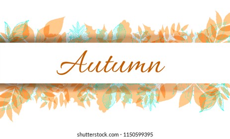 Autumn leaves background. Hand drawn vector fall of the leaves illustration. Autumn leaves draw the outline. Sketch, design elements. Doodles.