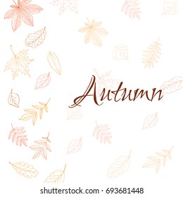 Autumn leaves background. Hand drawn vector fall of the leaves illustration. Autumn leaves draw the outline. Sketch, design elements. Doodles.