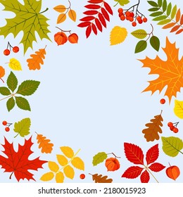 Autumn leaves background. Hello autumn concept. Vector Illustration