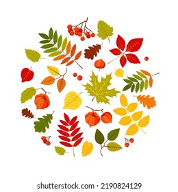 Autumn leaves background. Hello autumn concept. Vector Illustration