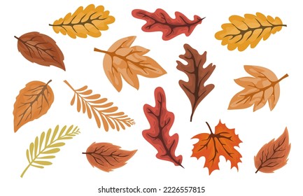 autumn leaves background for hello autumn event design
