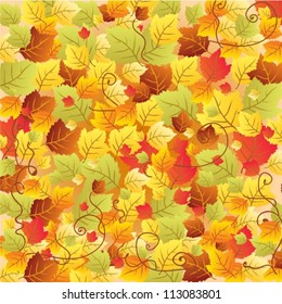 Autumn leaves background, illustration, vector