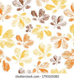 autumn leaves background. Isolated objects on a white background. beautiful seamless texture background imprint.