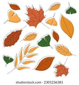 Autumn Leaves Background on White. Perfect for Seasonal Designs and Autumn-themed Projects.