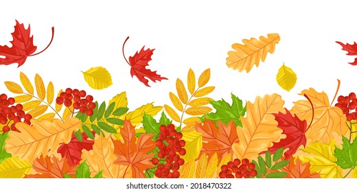 Autumn leaves background. Seamless border, pattern with fallen leaves of maple, oak and rowan. Vector illustration in cartoon flat style.