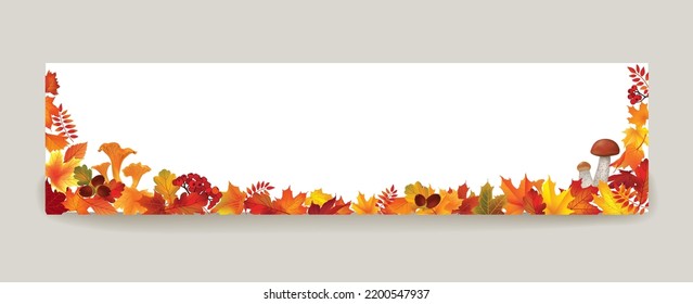 Autumn leaves background. Season floral horizontal wallpaper. Fall leaf nature banner sale design