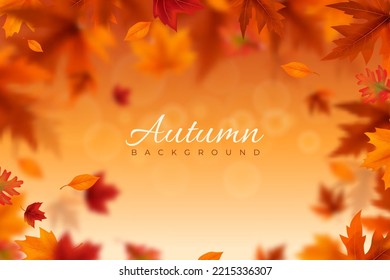 Autumn leaves background. Autumn season leaf fall banner. Blurred leaves frame for promotion poster or card. Vector illustration