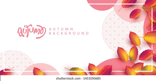 Autumn leaves background. Seasonal lettering.vector illustration.Promotion sale banner of autumn season.