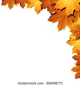 Autumn leaves background with space for text
