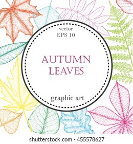 autumn leaves background with space for text. Botanical illustration