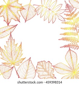 autumn leaves background with space for text. Botanical illustration