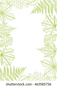 autumn leaves background with space for text. Botanical illustration