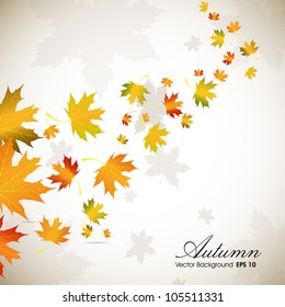 Autumn leaves background with space for your text. EPS 10.