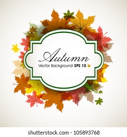 Autumn leaves background with space for your text. EPS 10.