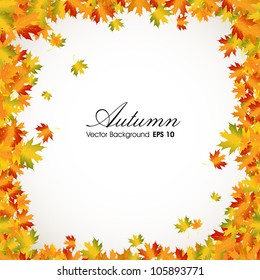 Autumn leaves background with space for your text. EPS 10.
