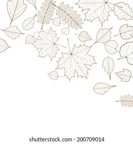 Autumn leaves background template. EPS10