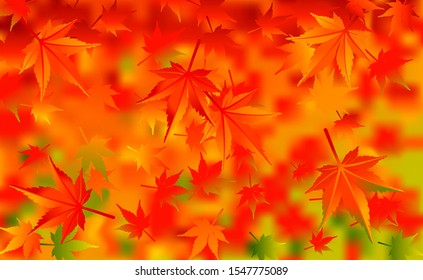 Autumn leaves background texture in warm colors. Japanese maple foliage.