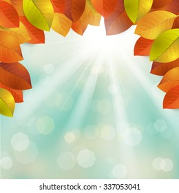 autumn , leaves Background, Thanksgiving, vector Illustration
