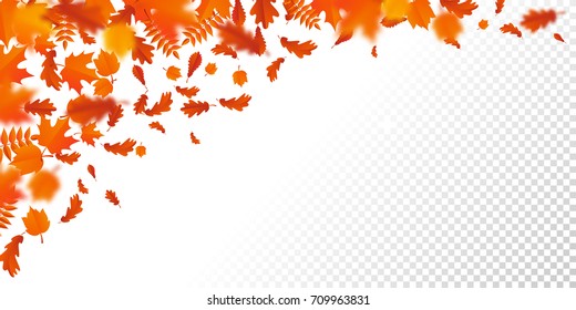 Autumn leaves background with transparency. Vector red orange autumnal pattern of foliage fall of maple, rowan or chestnut and poplar leaf flying in wind motion blur. 